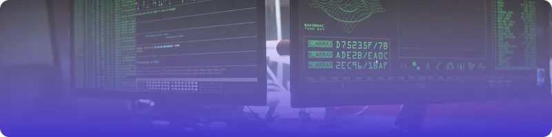 Cyber Security Developer